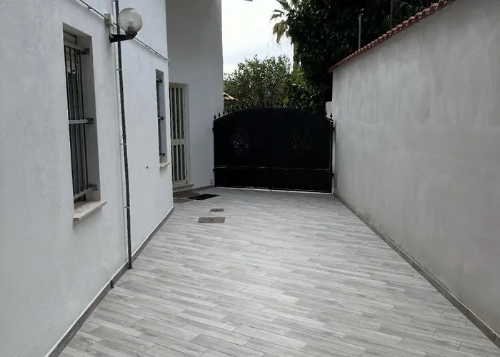 Billy 1 Daire Terralba